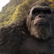 Imagen para el artículo titulado Son of Kong: una nueva película del universo de monstruos de Godzilla vs Kong está en desarrollo